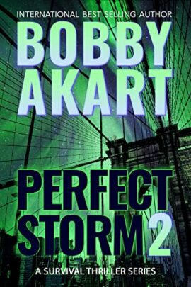 Perfect Storm 2: Post Apocalyptic Survival Thriller (Perfect Storm Series)