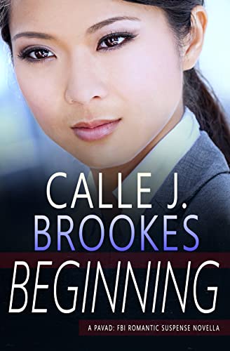 Beginning (PAVAD: FBI Romantic Suspense Book 1)