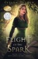 Flight of the Spark: A YA Epic Fantasy (The Outlawed Myth Book 1)