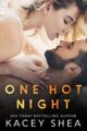 One Hot Night (Caught Series)