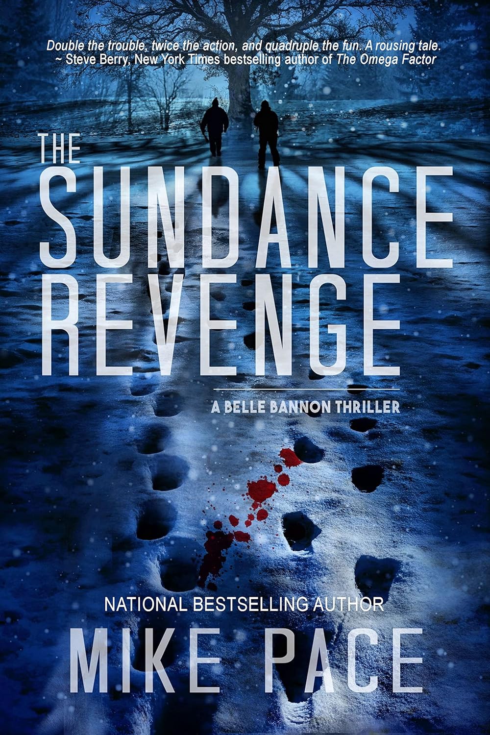 Crime Thriller by Bestselling Author Mike Pace