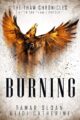 Burning: Prequel After the Thaw by Bestselling Author Heidi Catherine