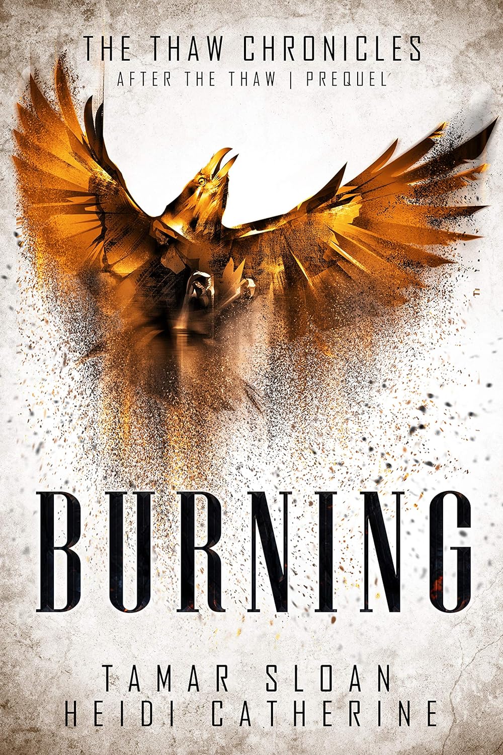 Burning: Prequel After the Thaw by Bestselling Author Heidi Catherine