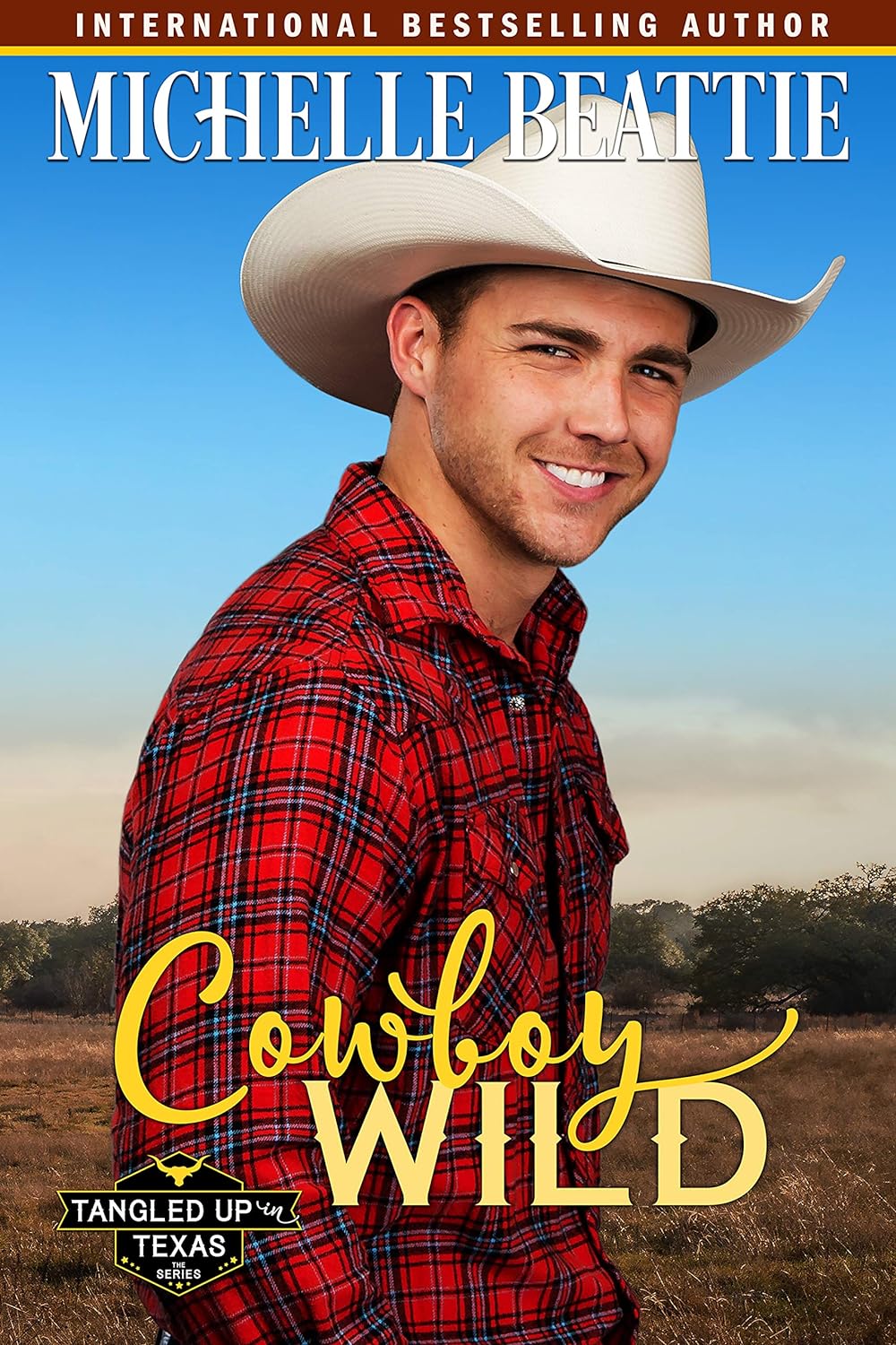 Cowboy Wild Western Romance by Bestselling Author Michelle Beattie