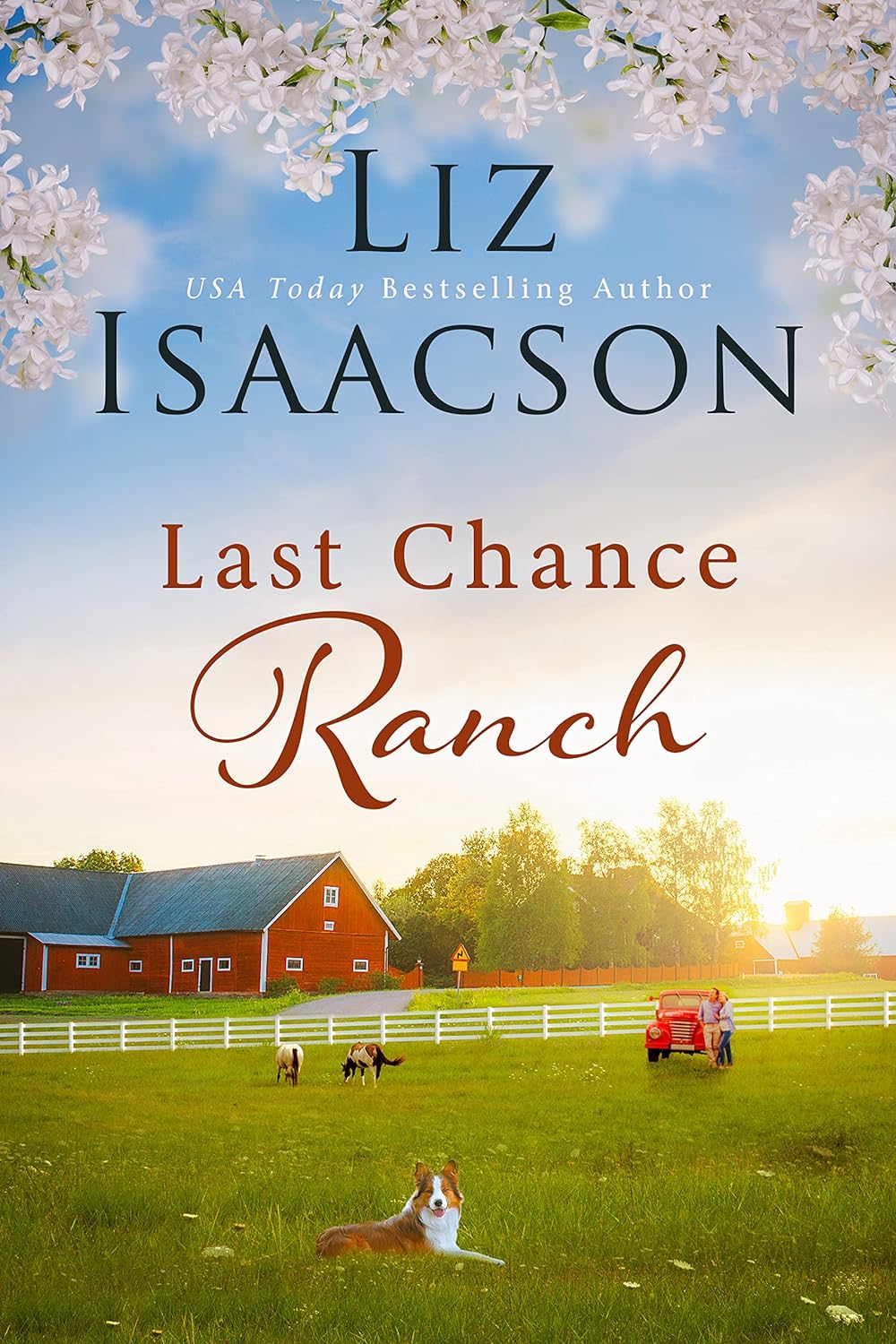 Last Chance Ranch Western Romance by USA Today Bestselling Author Liz Isaacson