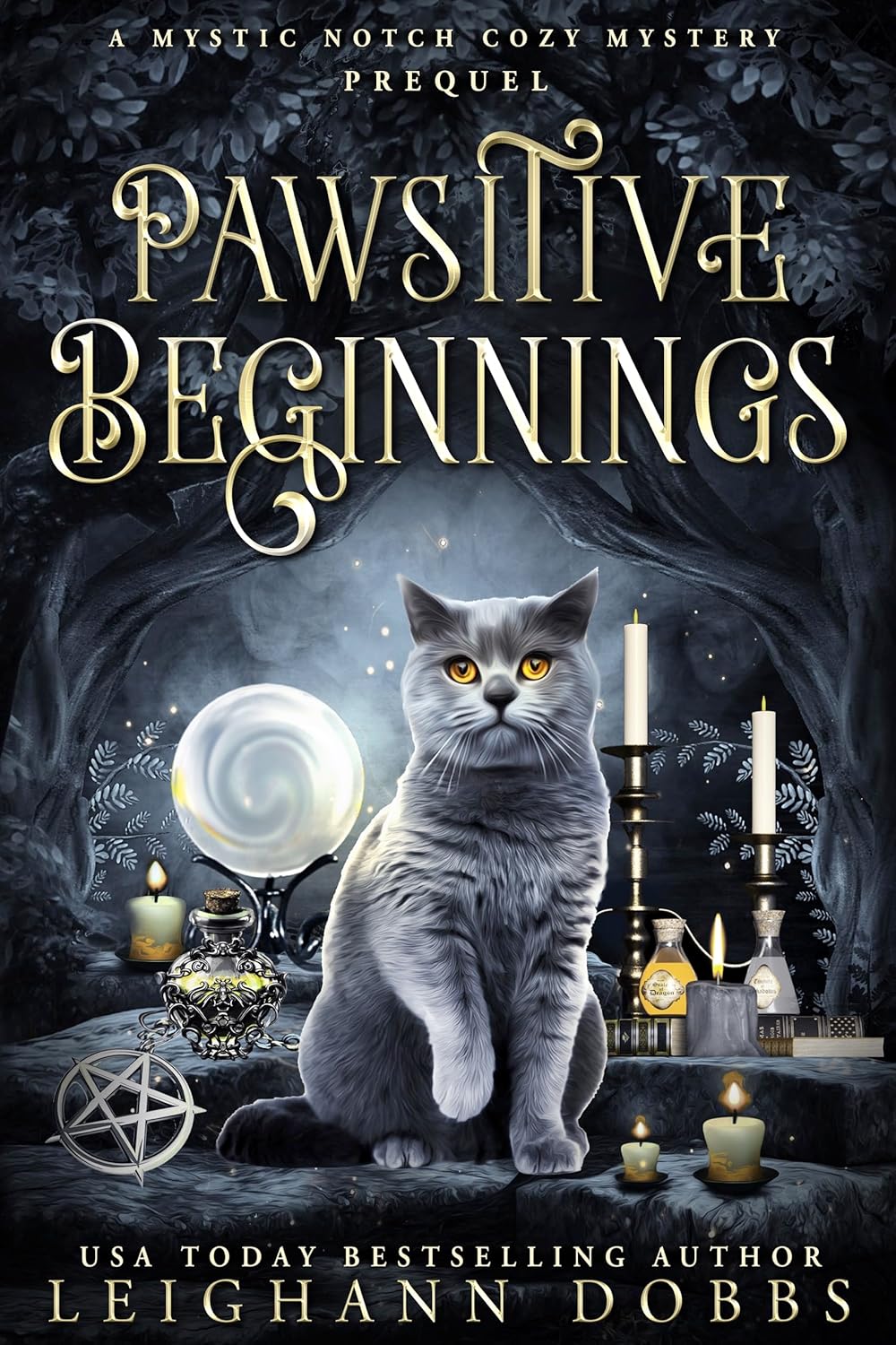 Pawsitive Beginnings Mystic Notch Cozy Mystery by USA Today Bestselling Author Leighann Dobbs