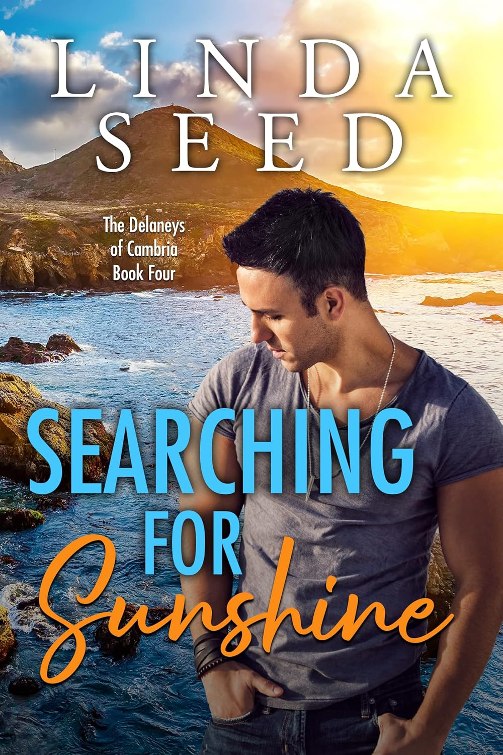 Searching for Sunshine Contemporary Romance by Bestselling Author Linda Seed