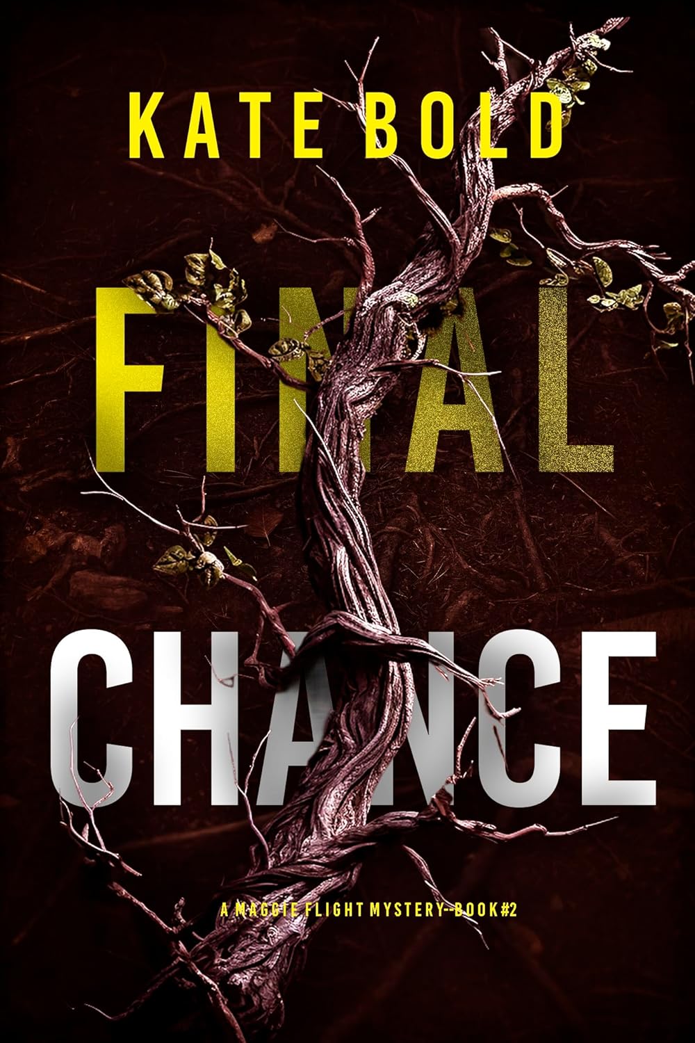 Final Chance Suspense Thriller by Bestselling Author Kate Bold