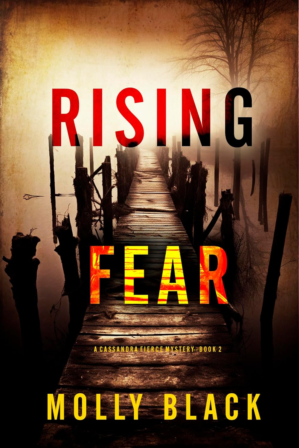 Rising Fear Suspense Thriller by Bestselling Author Molly Black