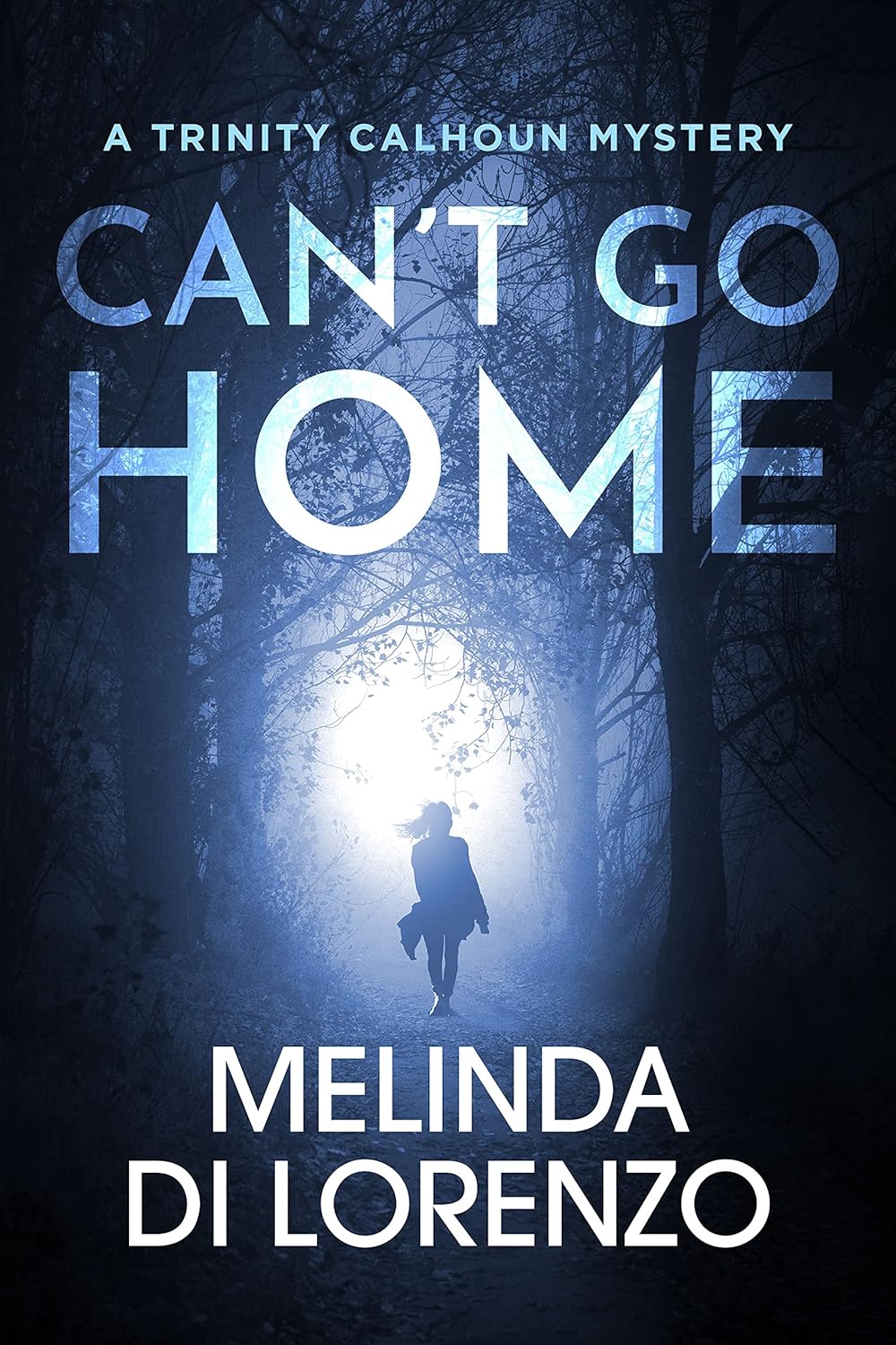 Can't Go Home Women Detective Novels